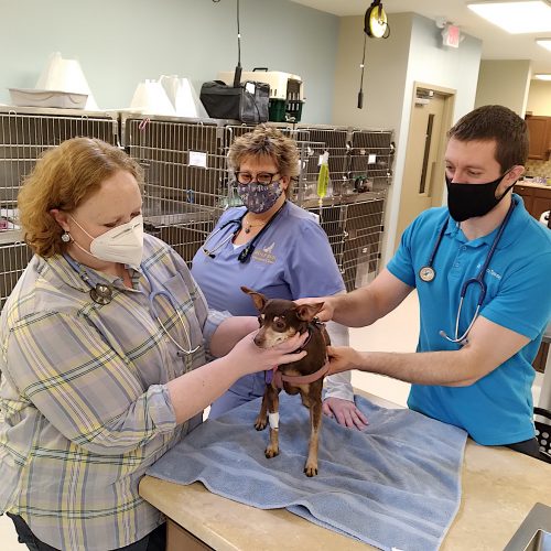 Wolf Run aims to be a fullservice animal hospital News, Sports, Jobs Williamsport SunGazette